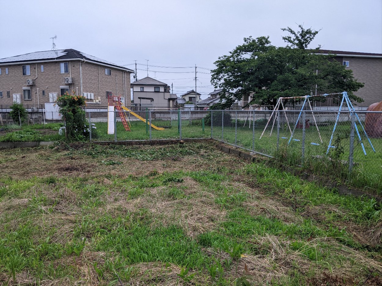 田んぼの草刈り