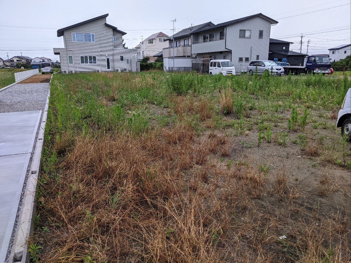 笠井新田 農地の草刈り