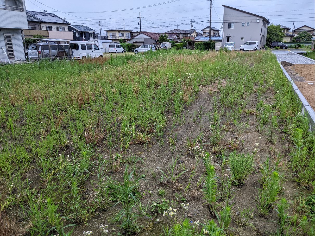 笠井新田 農地の草刈り